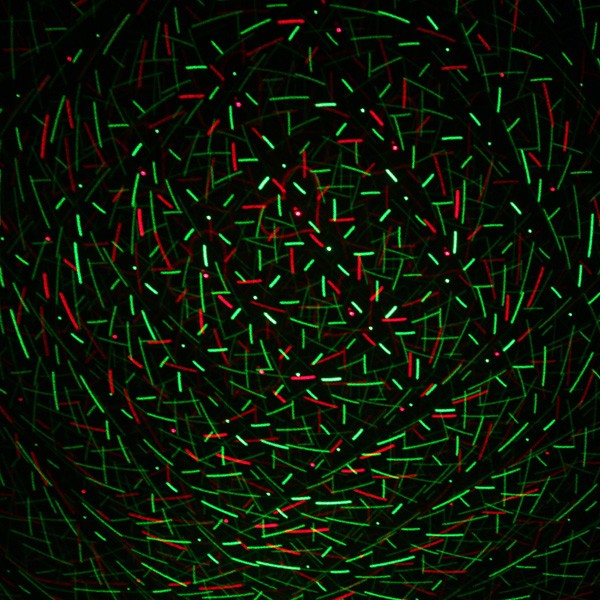 Mini Laser Stage Lighting Disco Licht