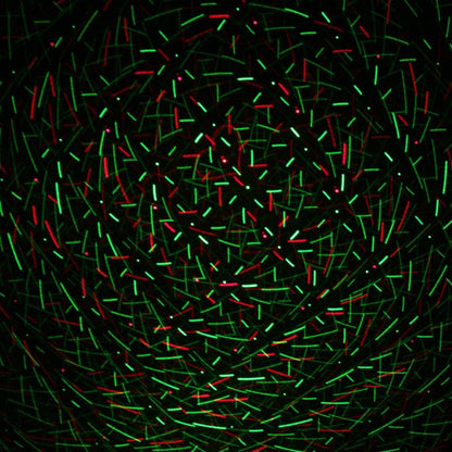 Mini Laser Stage Lighting Disco Licht